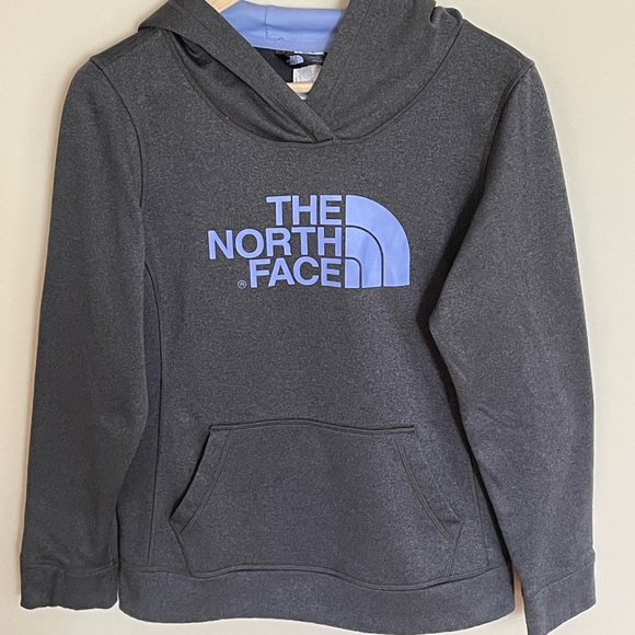 The North Face Charcoal Light Blue Logo Hoodie Women’s size Small - Picture 2 of 6